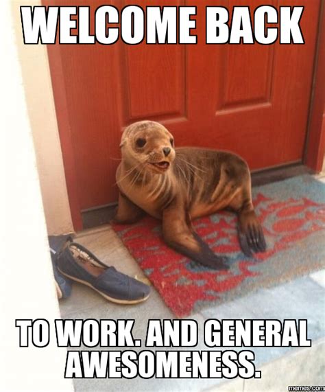 Welcome Back To The Office Funny Images Welcome Back To Work Funny