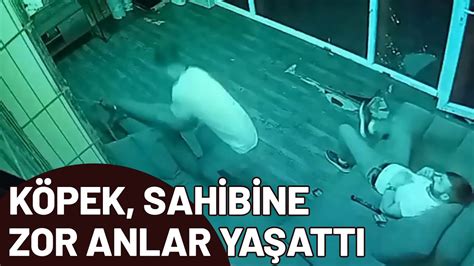 Köpeği ile şakalaşırken nereye kaçacağını şaşırdı YouTube