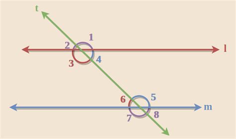 Alternate Interior Angles Definitions Theorems And Examples