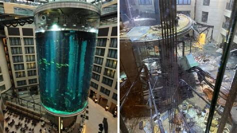 Berlin Radisson Blu Hotel Huge Aquarium Burst It Was Home Of 1500 Fish