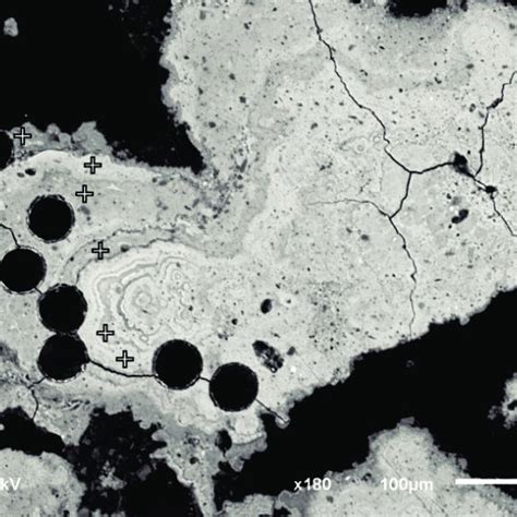 Morphology And Internal Texture Of Polymetallic Nodules A Spheroidal Download Scientific