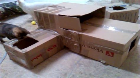 Juegos Para Gatos Con Cajas De Carton Off