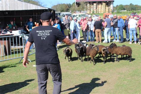 Photos Montmédy affluence record à la Fête des pommes à Fresnois