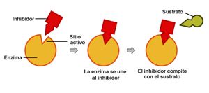 Inhibidor Enzim Tico Eugenomic