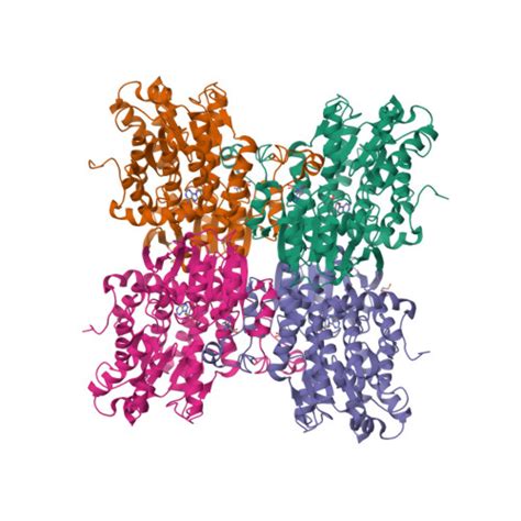 RCSB PDB 6EXI NAD Free Crystal Structure Of S Adenosyl L