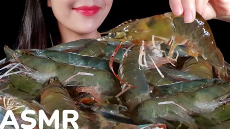 Asmr Raw Shrimp Mukbang Eating Sounds