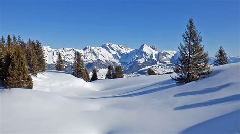 Traumhafter Blick zum Säntis Fotos hikr org