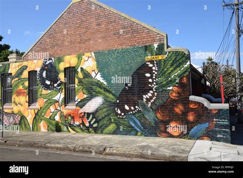 Street Art, Newtown, Sydney, NSW, Australia Stock Photo - Alamy