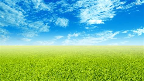 Free Photo Green Field 3d Field Grass Free Download Jooinn