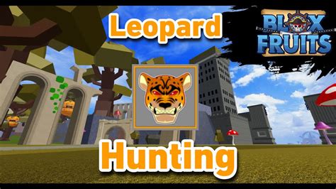 Leopard Bounty Hunting Blox Fruit Update 17 3 YouTube