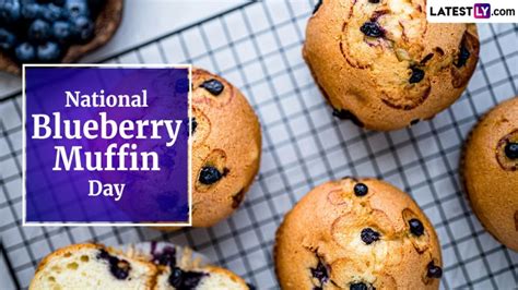 National Blueberry Muffin Day Recipe How To Bake Delicious