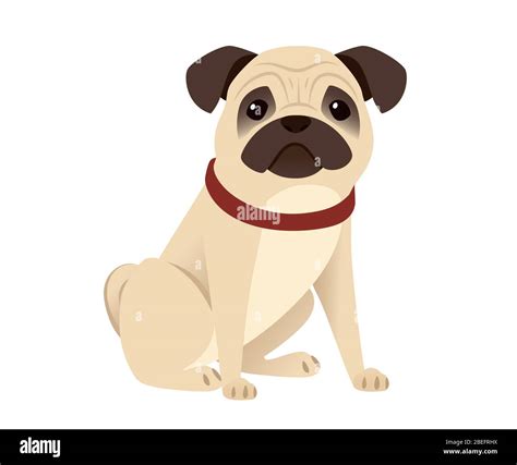 Cute Small Friendly Pug Dog Cartoon Domestic Animal Design Flat Vector