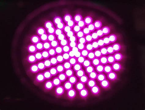 Purple Led Traffic Signal Lights At Rs 30 In Pune Id 5044389 Trafitronics India Pvt Ltd