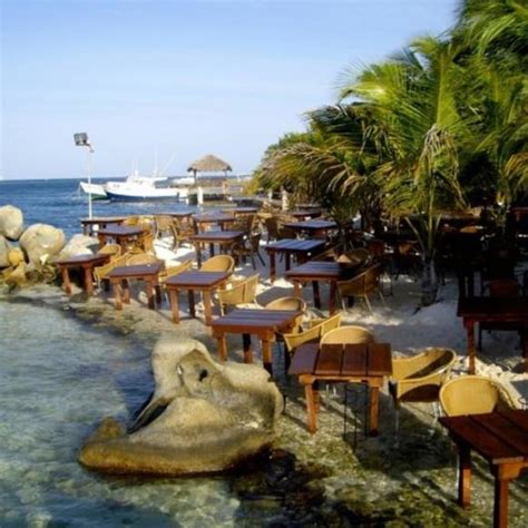 Flying Fishbone reviews, photos - Savaneta - Aruba - GayCities Aruba