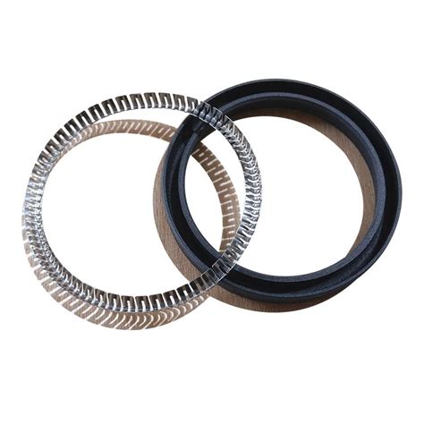 Cantilever Spring Energized Seal Spring Energized Seal Supplier FJSEALS