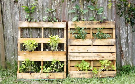 Comment Et O Trouver Facilement Des Palettes En Bois Gratuites