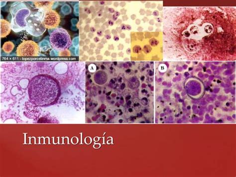 Parasitolog A Generalidades Ppt