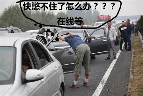 高速路上堵车，解决内急就靠它们了