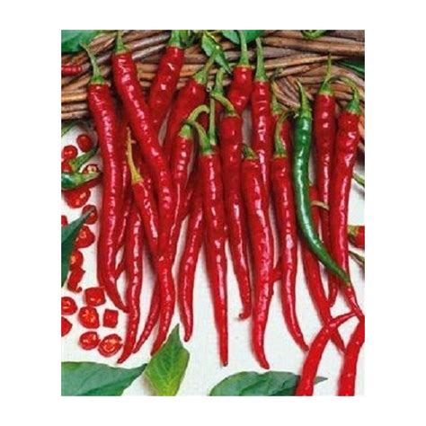 Cayenne Long Slim 10 Seeds