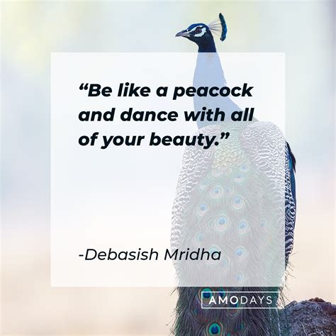 69 Peacock Quotes For A Mulitcolored Existence