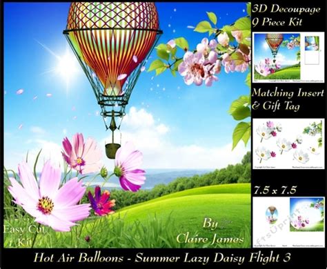 Hot Air Balloons Balloon Daisy Flight D Decoupage Insert Tag