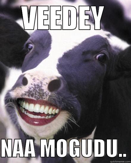 laughing cow - quickmeme