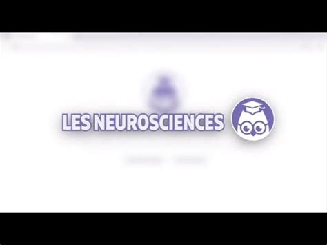 Tout Savoir Sur Les Neuromythes Les Neurosciences Les Bons Profs