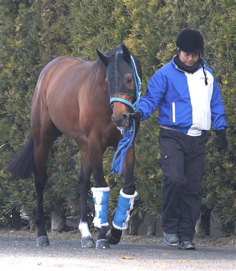 【フェブラリーs】キングズソード初のマイル戦も前向き、寺島師「短めの方がしまいも動ける」｜極ウマ・プレミアム