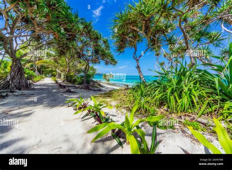 Vanuatu, Mystery Island, beach, south pacific Stock Photo - Alamy