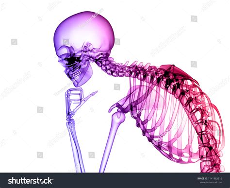 X Ray Human Body 3d Render Stock Illustration 1141863512 Shutterstock