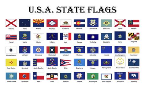 Outline Of State Flags