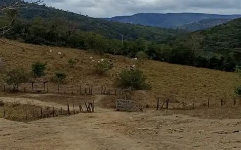 Fazenda Salas Na Zona Rural Sn Zona Rural Almenara Mg Id