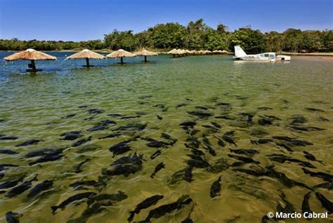 Balne Rio Praia Da Figueira Bonito Ms Natureza Tour