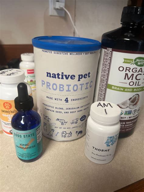 Probiotic for Dogs - The Native Pet