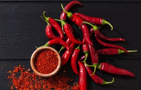 Wellhealthorganic Red Chilli You Should Know About Red Chilli Uses