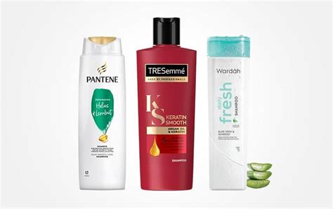 Rekomendasi Shampoo Untuk Rambut Kering Terupdate Isengnulis Id