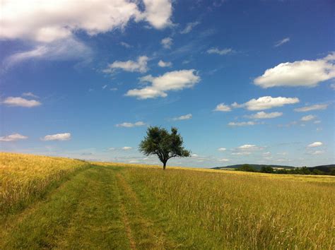 Free Images Landscape Tree Nature Horizon Cloud Sky Hiking