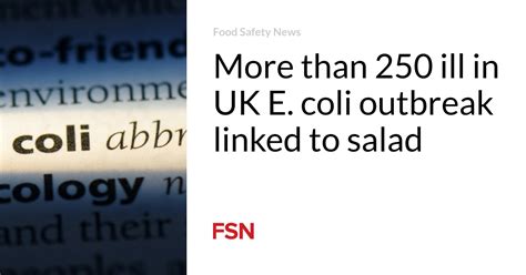 More than 250 ill in UK E. coli outbreak linked to salad | Food Safety News