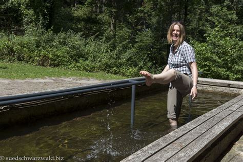 Wandern Dich Gl Cklich N Rdlicher Schwarzwald Wanderf Hrer