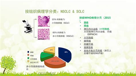 肺癌的免疫治疗之肺癌治疗的现状 微医挂号网