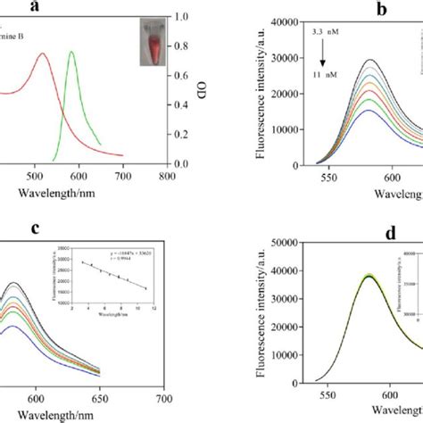 A Absorption Spectrum Of The Aunps And Fluorescence Emission Spectrum