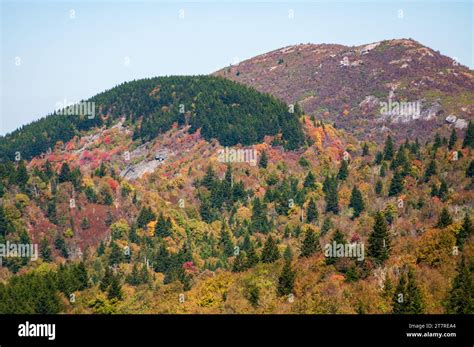 Fall Foliage at the Blue Ridge Parkway Stock Photo - Alamy