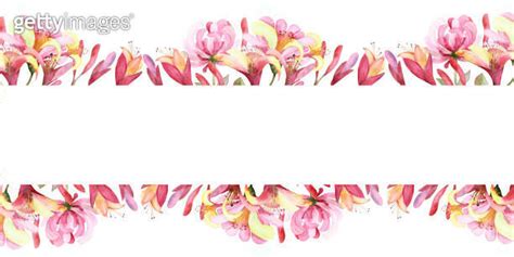 Watercolor Hand Painted Nature Floral Banner Composition With Pink