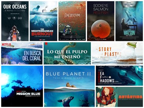 Descubrir más de 72 documental fondo marino muy caliente camera edu vn