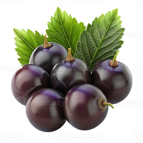 3D Illustration of Blackcurrants with Leaves 53811203 PNG