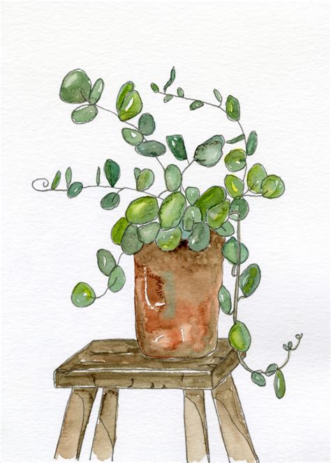 Online Watercolor Class: Ivy Plant | Tamery Stafford
