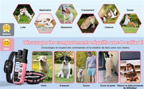 Bousnic Collier De Dressage Pour Chien De M Avec T L Commande Pour