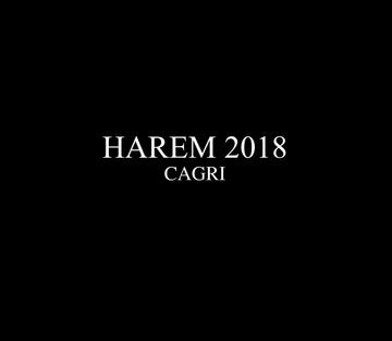 Fansadox 488 Harem 2018 Cagri 8muses Sex And Porn Comics