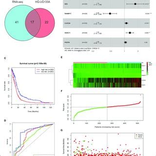 Identification Of Who Grade Related Genes In Glioma A Volcano Plot