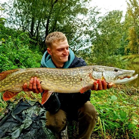 ᐅ River Severn fishing reports🎣• England, United Kingdom fishing